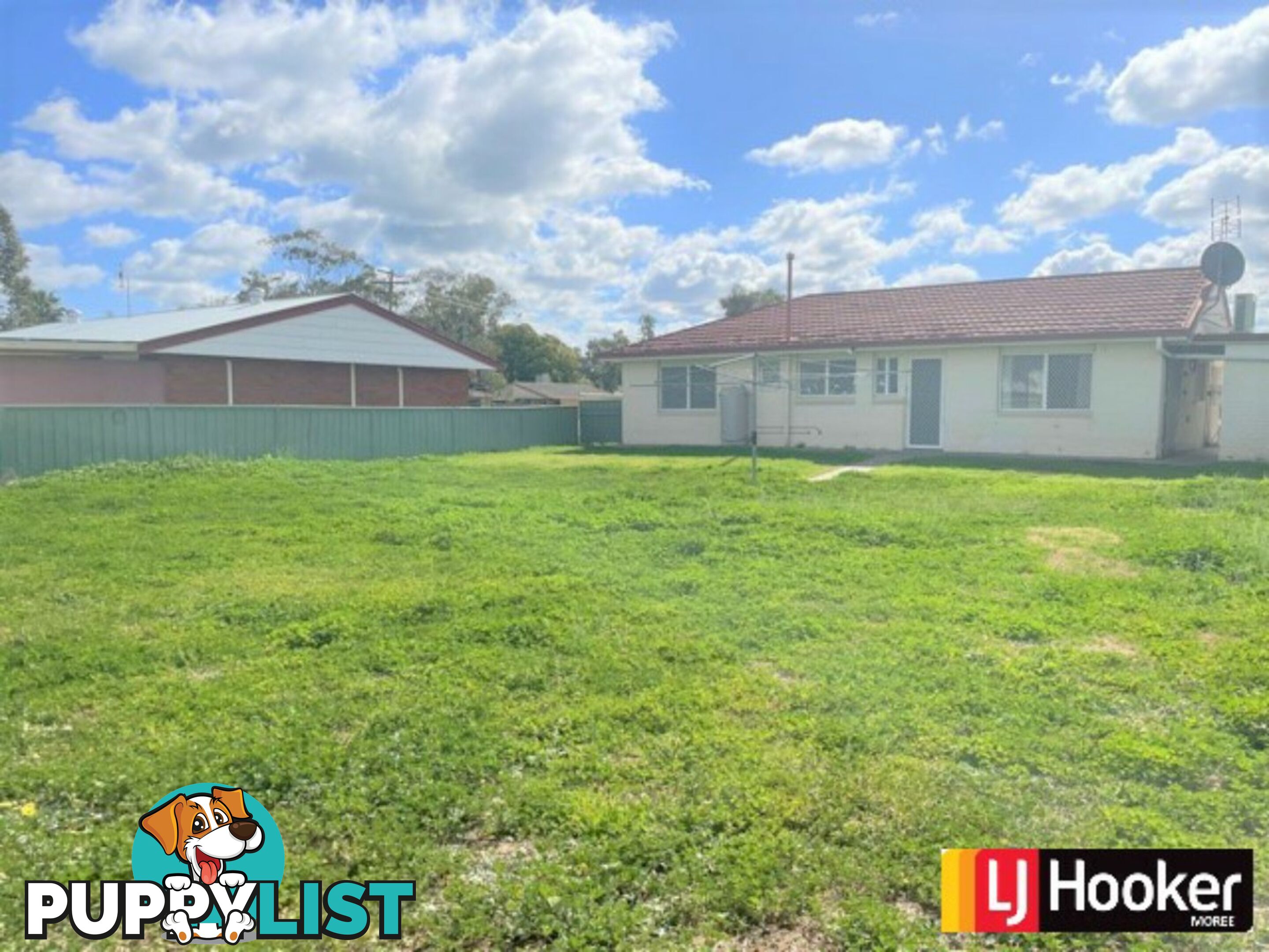 19 Wattle Crescent MOREE NSW 2400