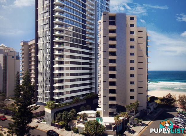 SURFERS PARADISE QLD 4217