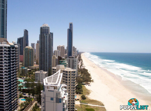 SURFERS PARADISE QLD 4217