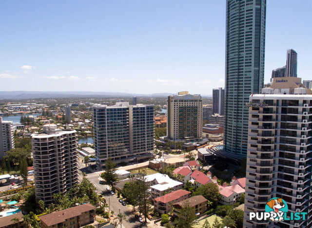 SURFERS PARADISE QLD 4217