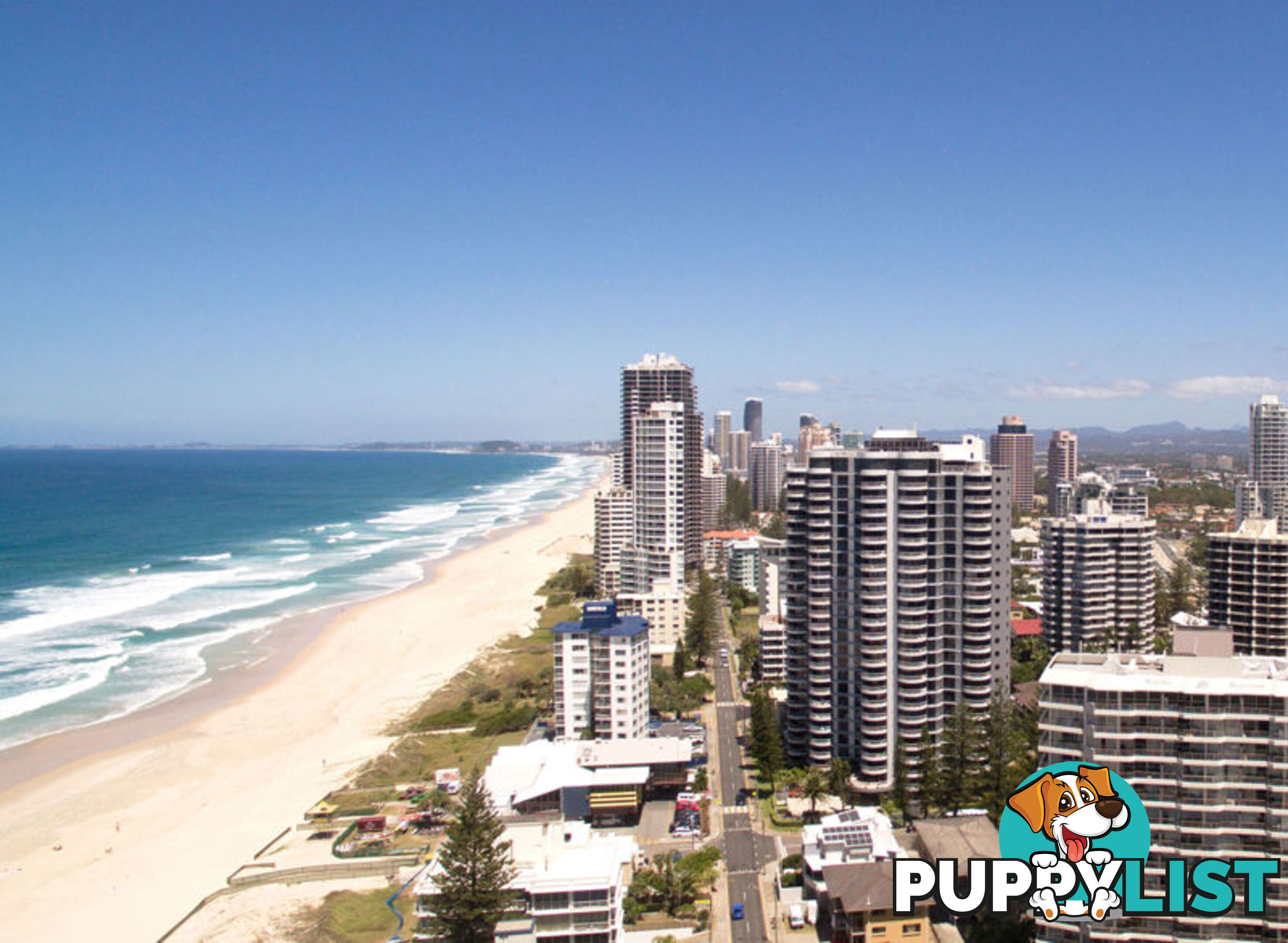 SURFERS PARADISE QLD 4217