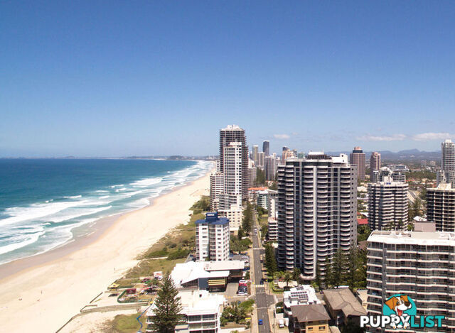 SURFERS PARADISE QLD 4217