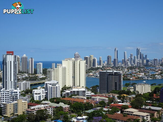 2504 'VICTORIA TOWERS' 34 SCARBOROUGH STREET SOUTHPORT QLD 4215