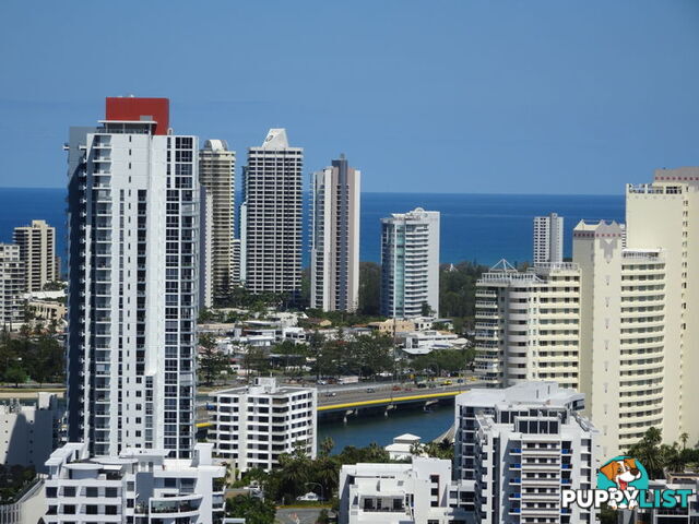 2504 'VICTORIA TOWERS' 34 SCARBOROUGH STREET SOUTHPORT QLD 4215