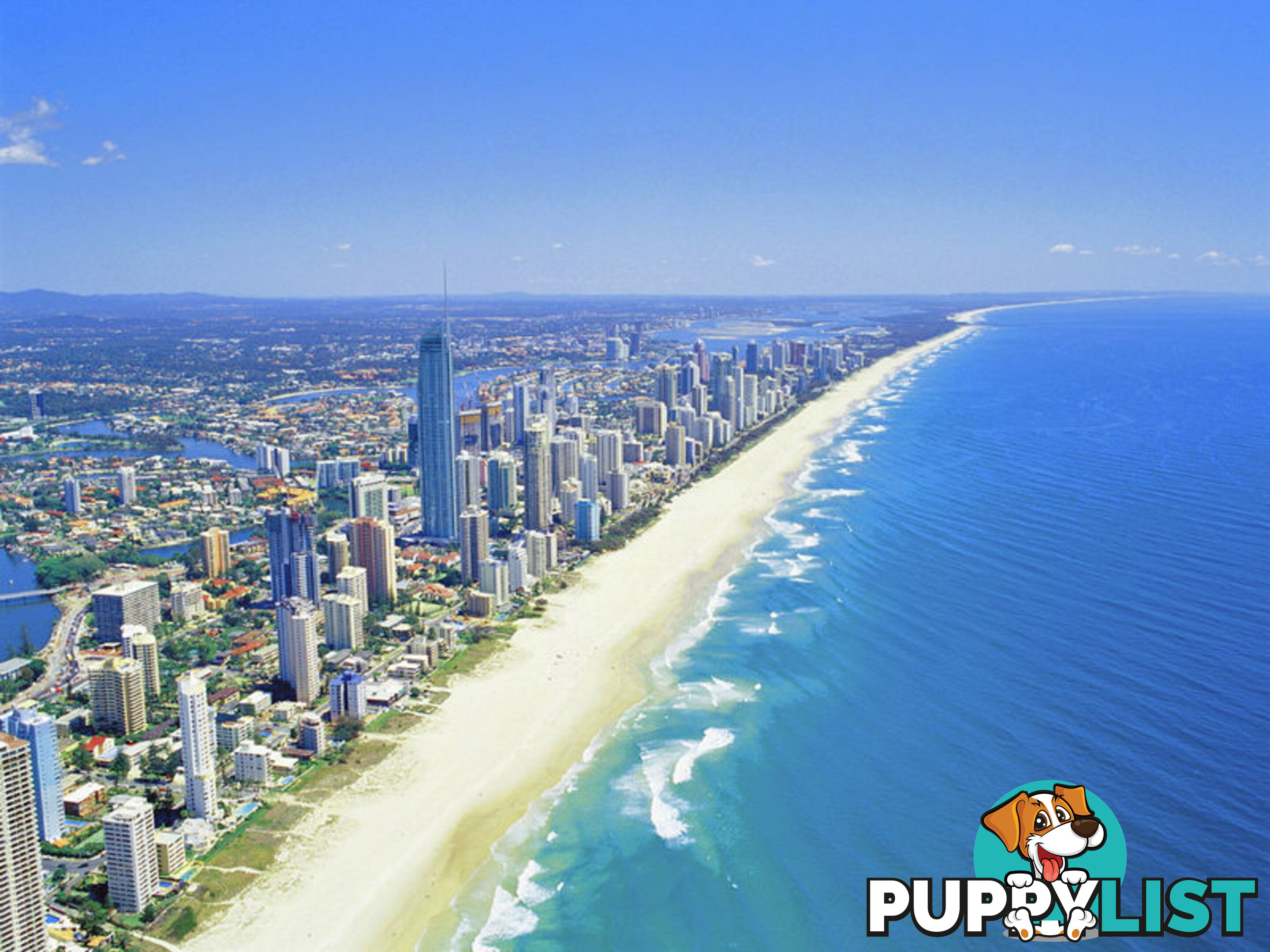 SURFERS PARADISE QLD 4217