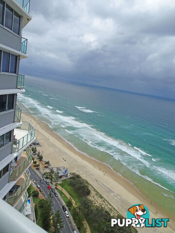 38J/5 CLIFFORD STREET  "PENINSULA" SURFERS PARADISE QLD 4217