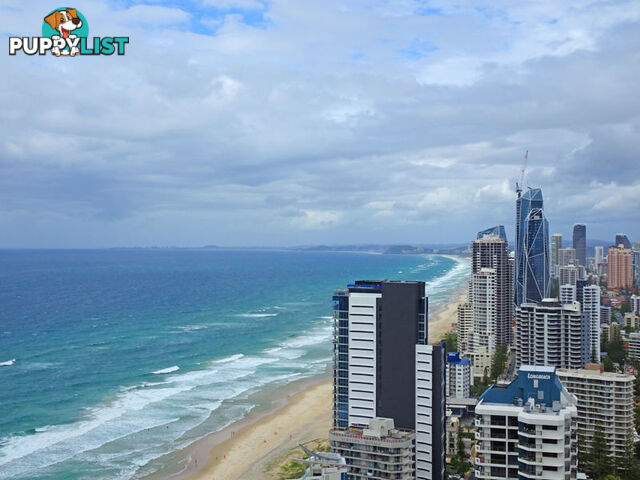 38J/5 CLIFFORD STREET  "PENINSULA" SURFERS PARADISE QLD 4217