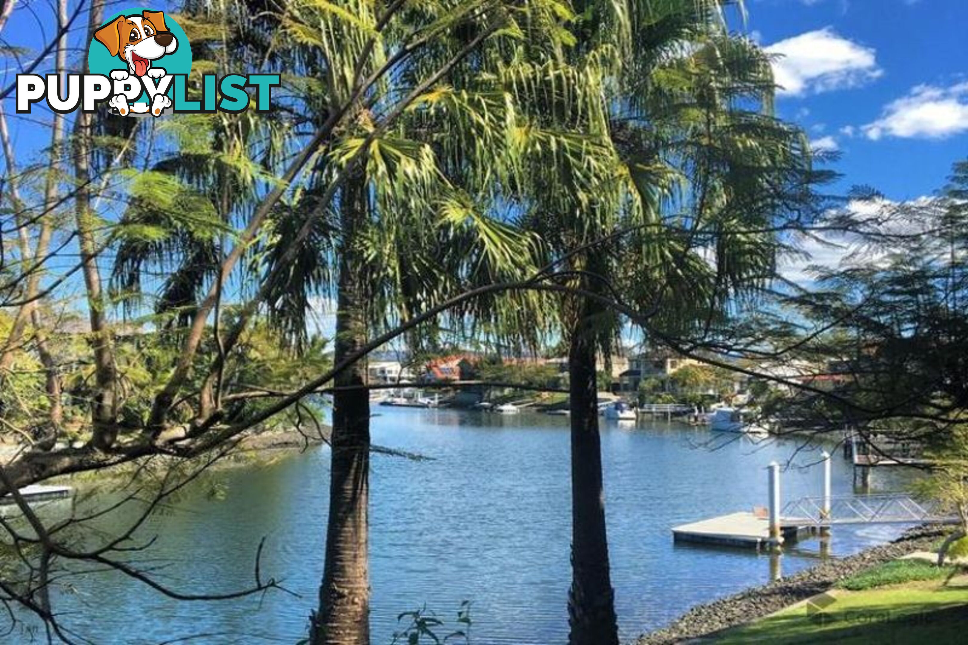 22/24 SLATYER AVENUE " BELLA VISTA ON THE WATER" BUNDALL QLD 4217