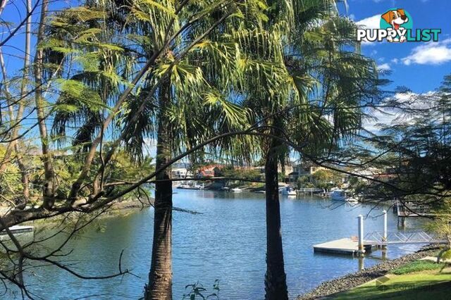 22/24 SLATYER AVENUE " BELLA VISTA ON THE WATER" BUNDALL QLD 4217