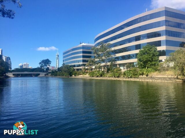 22/24 SLATYER AVENUE " BELLA VISTA ON THE WATER" BUNDALL QLD 4217