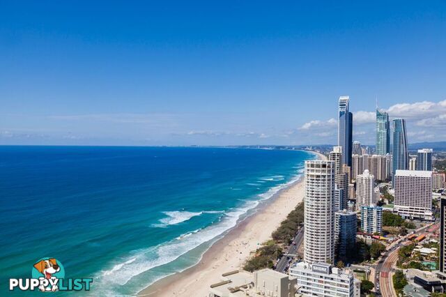 SURFERS PARADISE QLD 4217