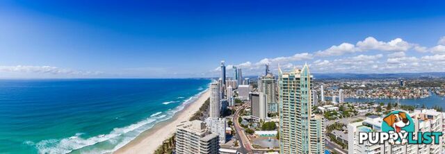 SURFERS PARADISE QLD 4217