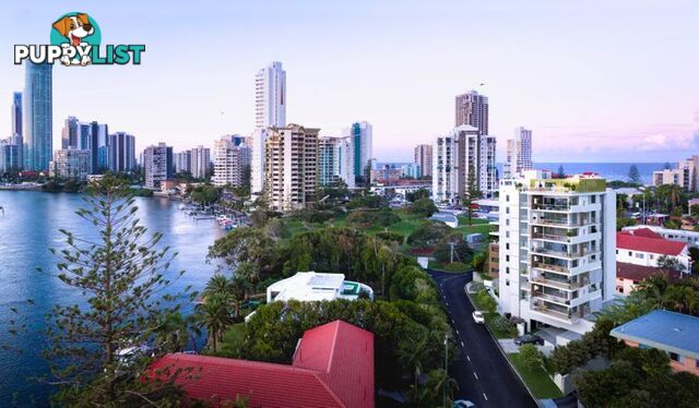 SURFERS PARADISE QLD 4217