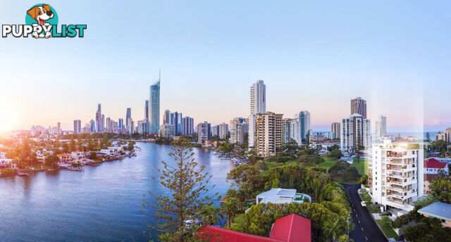 SURFERS PARADISE QLD 4217