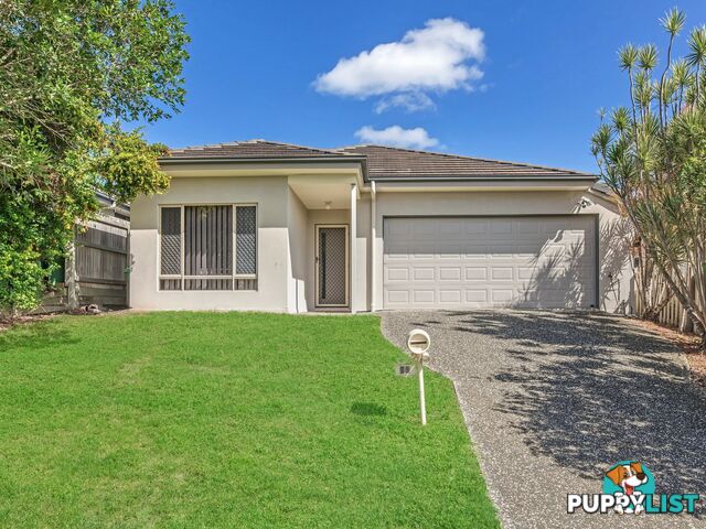 11 Cottonwood Crescent SPRINGFIELD LAKES QLD 4300