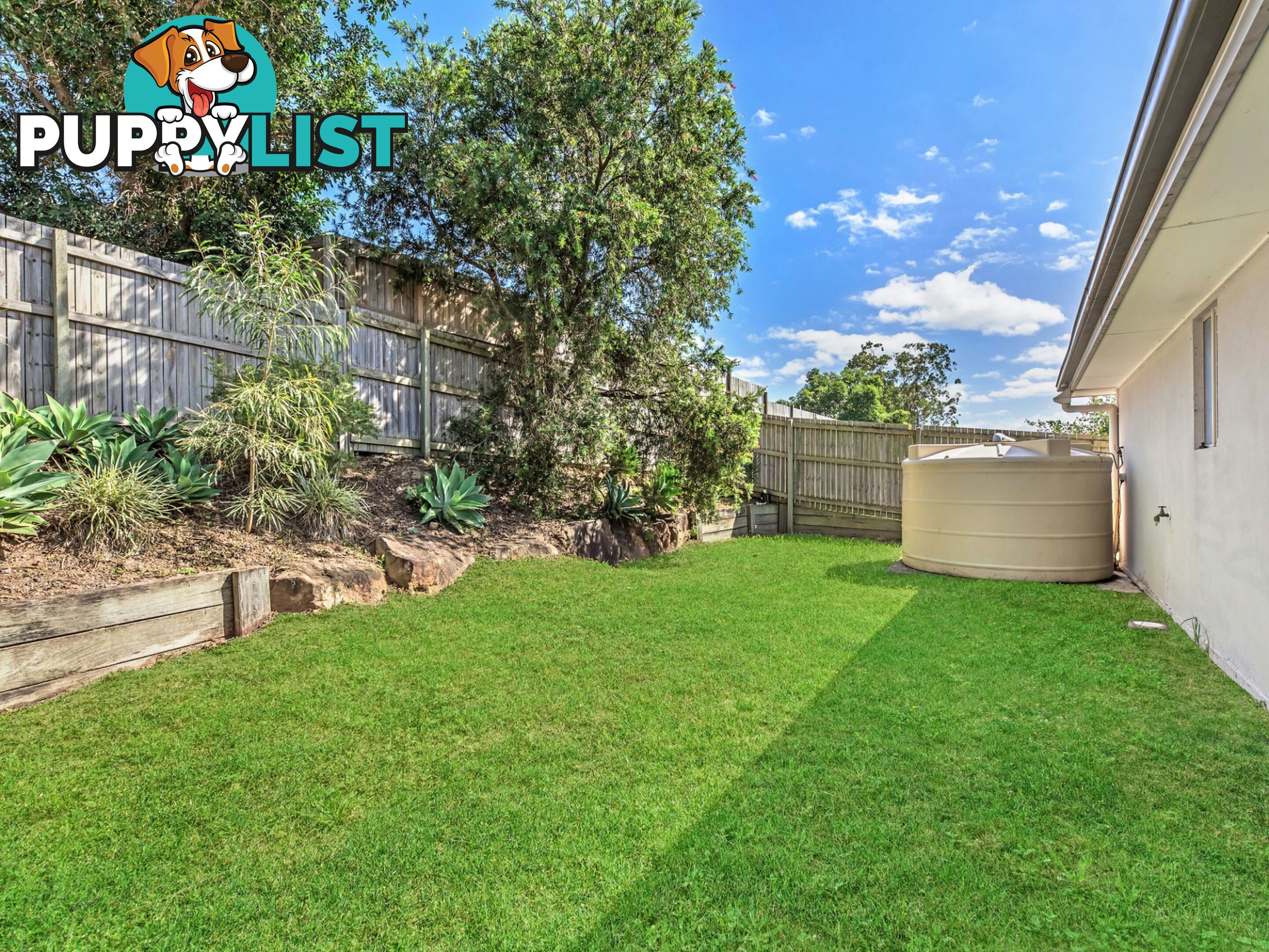 11 Cottonwood Crescent SPRINGFIELD LAKES QLD 4300