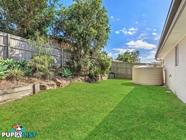 11 Cottonwood Crescent SPRINGFIELD LAKES QLD 4300