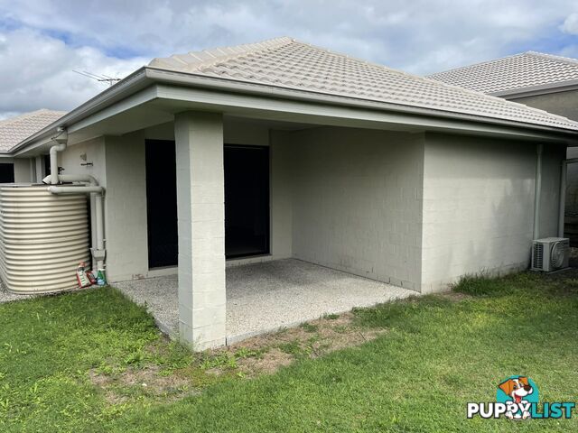 22 Timberlake Place SPRINGFIELD LAKES QLD 4300