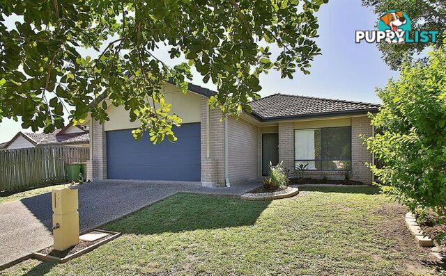 17 Wright Avenue REDBANK PLAINS QLD 4301