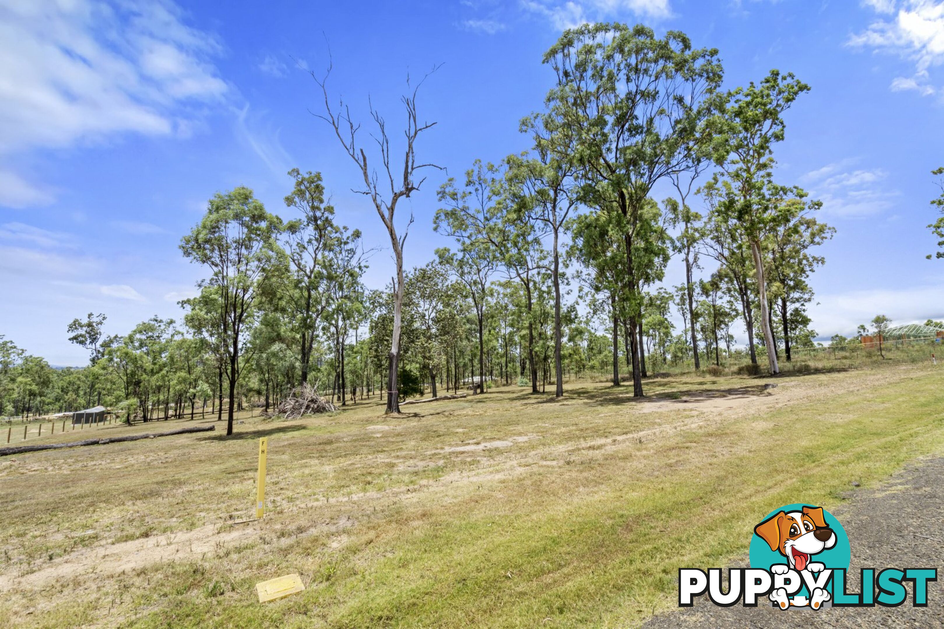 31 Poinciana Avenue RIFLE RANGE QLD 4311