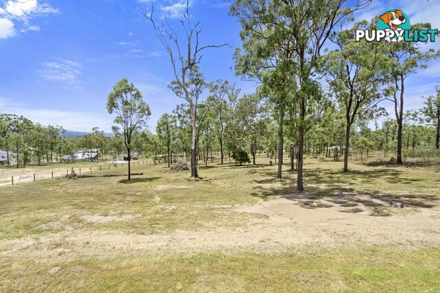 31 Poinciana Avenue RIFLE RANGE QLD 4311