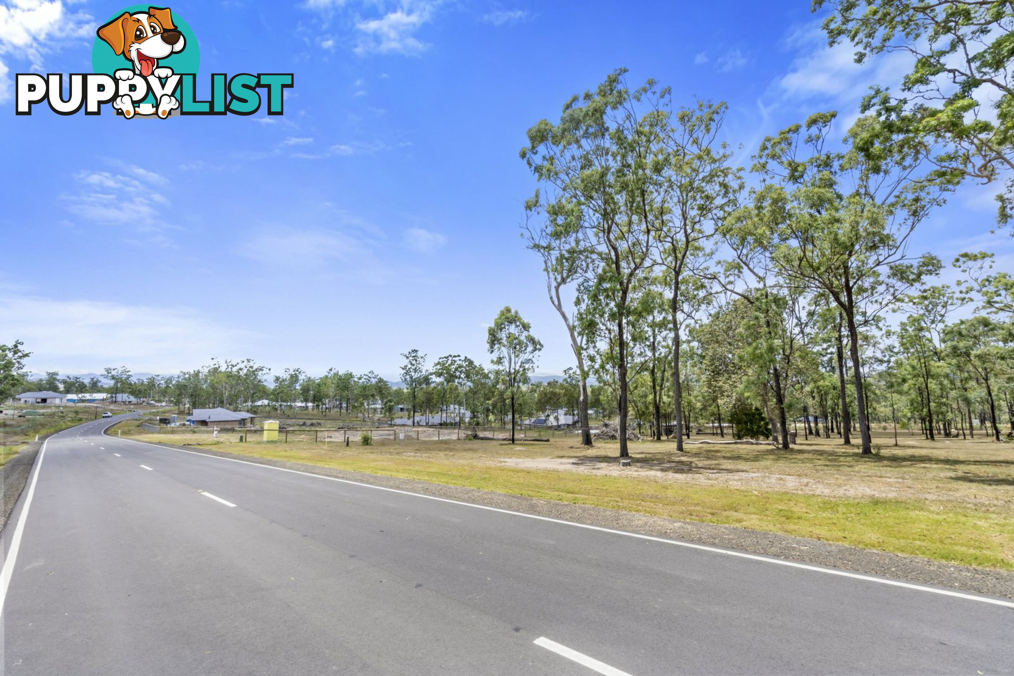 31 Poinciana Avenue RIFLE RANGE QLD 4311