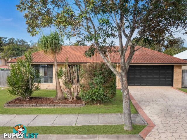31 Eden Crescent SPRINGFIELD LAKES QLD 4300