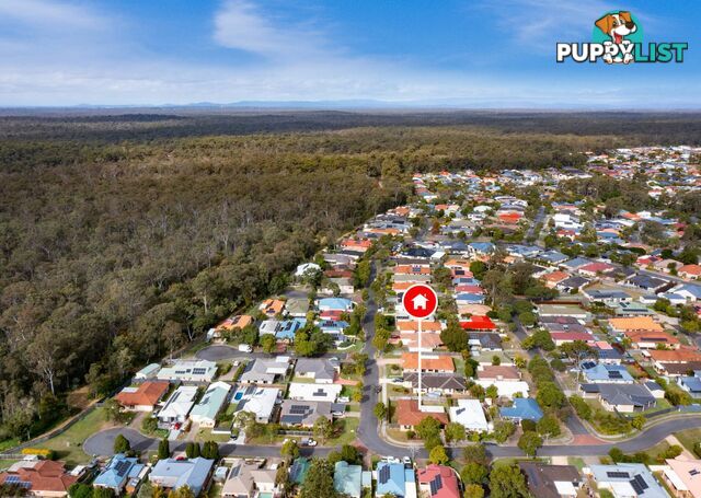 31 Eden Crescent SPRINGFIELD LAKES QLD 4300