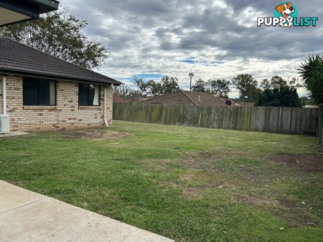 14 Brittany Crescent RACEVIEW QLD 4305
