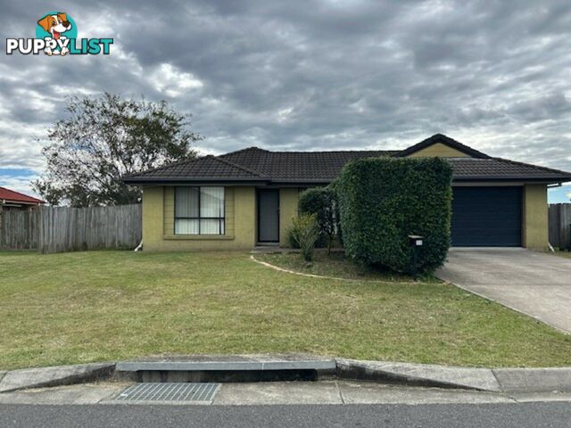 14 Brittany Crescent RACEVIEW QLD 4305