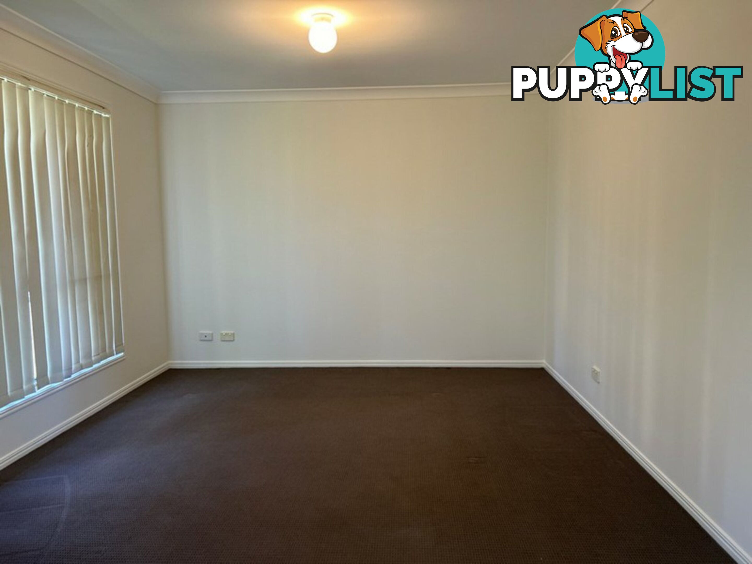 14 Brittany Crescent RACEVIEW QLD 4305