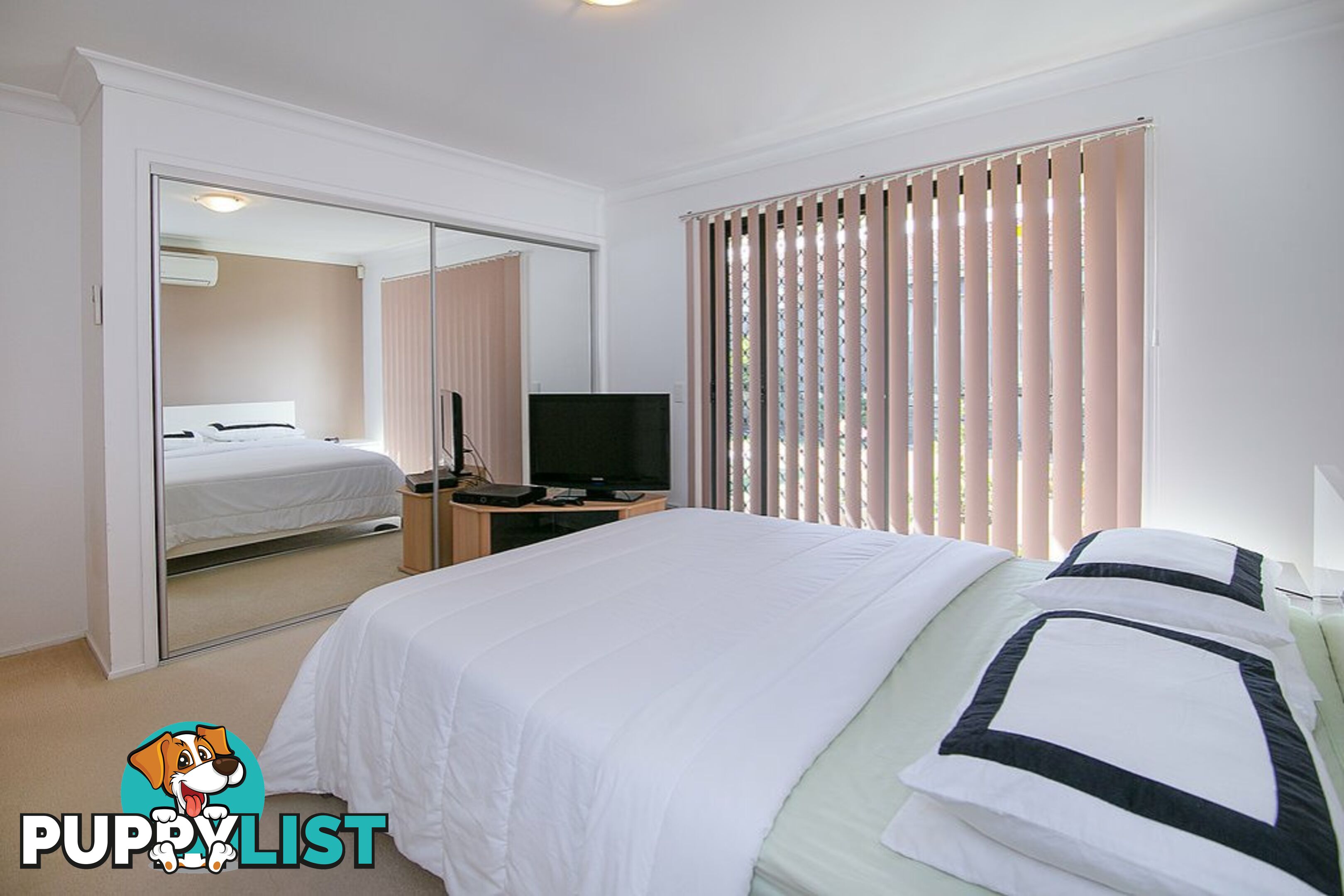 6 Bidford Street SPRINGFIELD QLD 4300