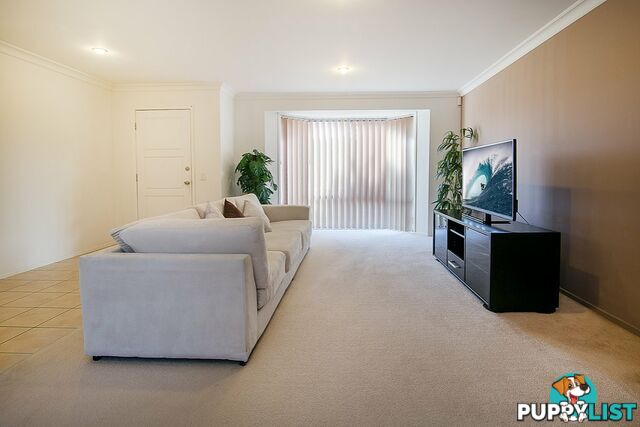 6 Bidford Street SPRINGFIELD QLD 4300