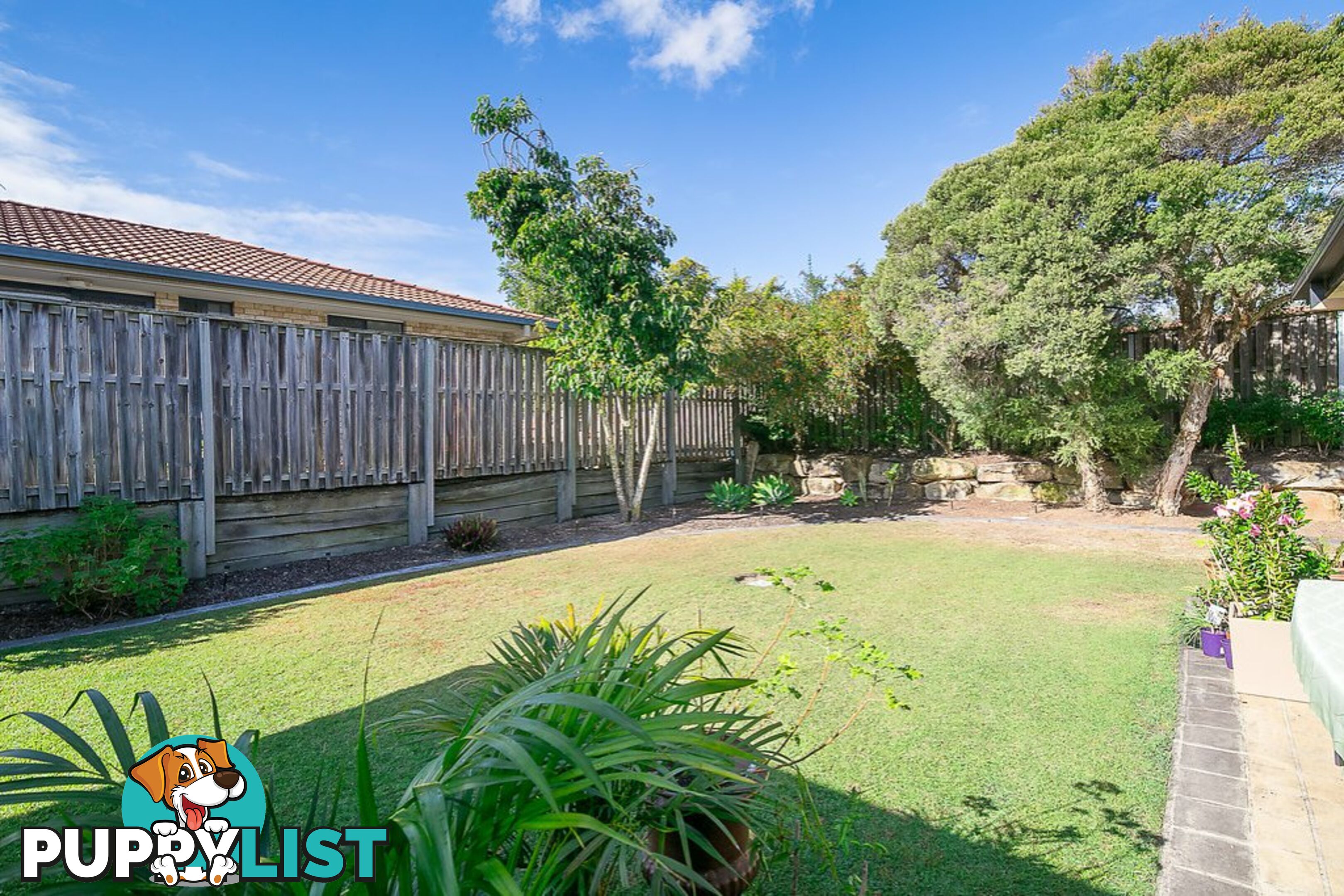 6 Bidford Street SPRINGFIELD QLD 4300