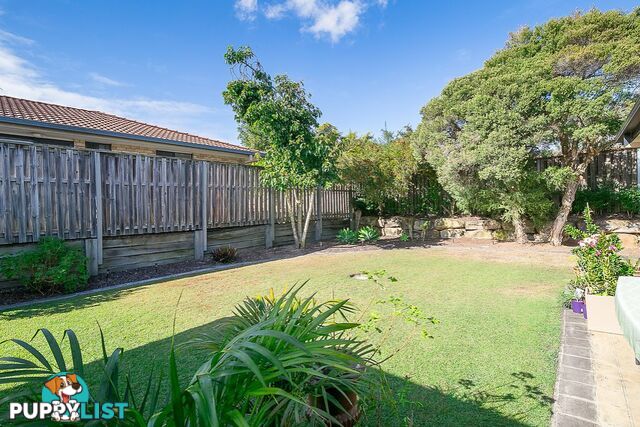 6 Bidford Street SPRINGFIELD QLD 4300