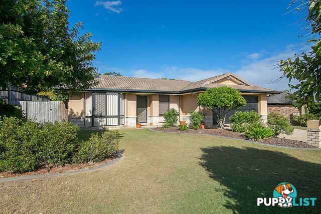 6 Bidford Street SPRINGFIELD QLD 4300