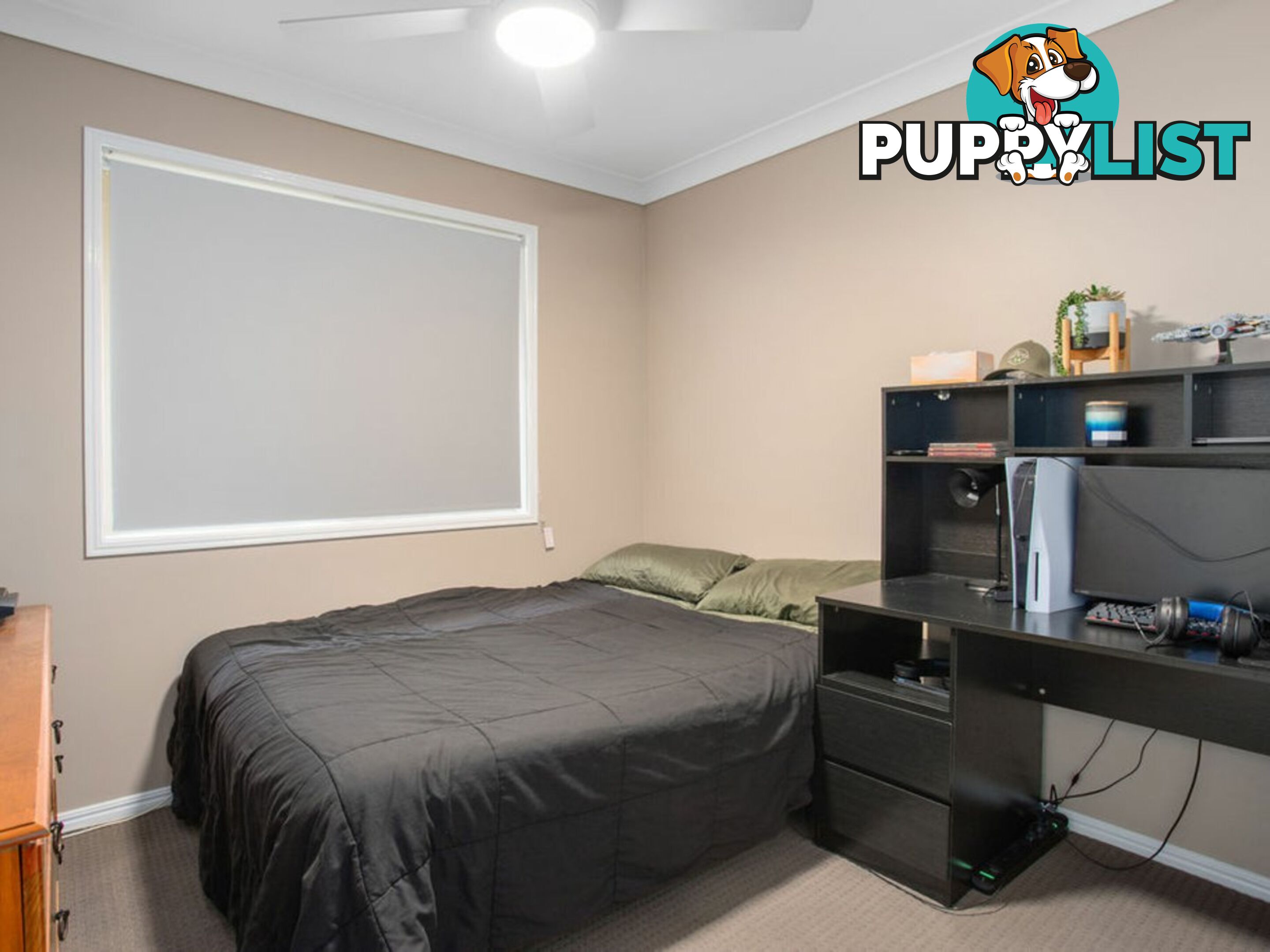 8 Rainwood Court SPRINGFIELD QLD 4300