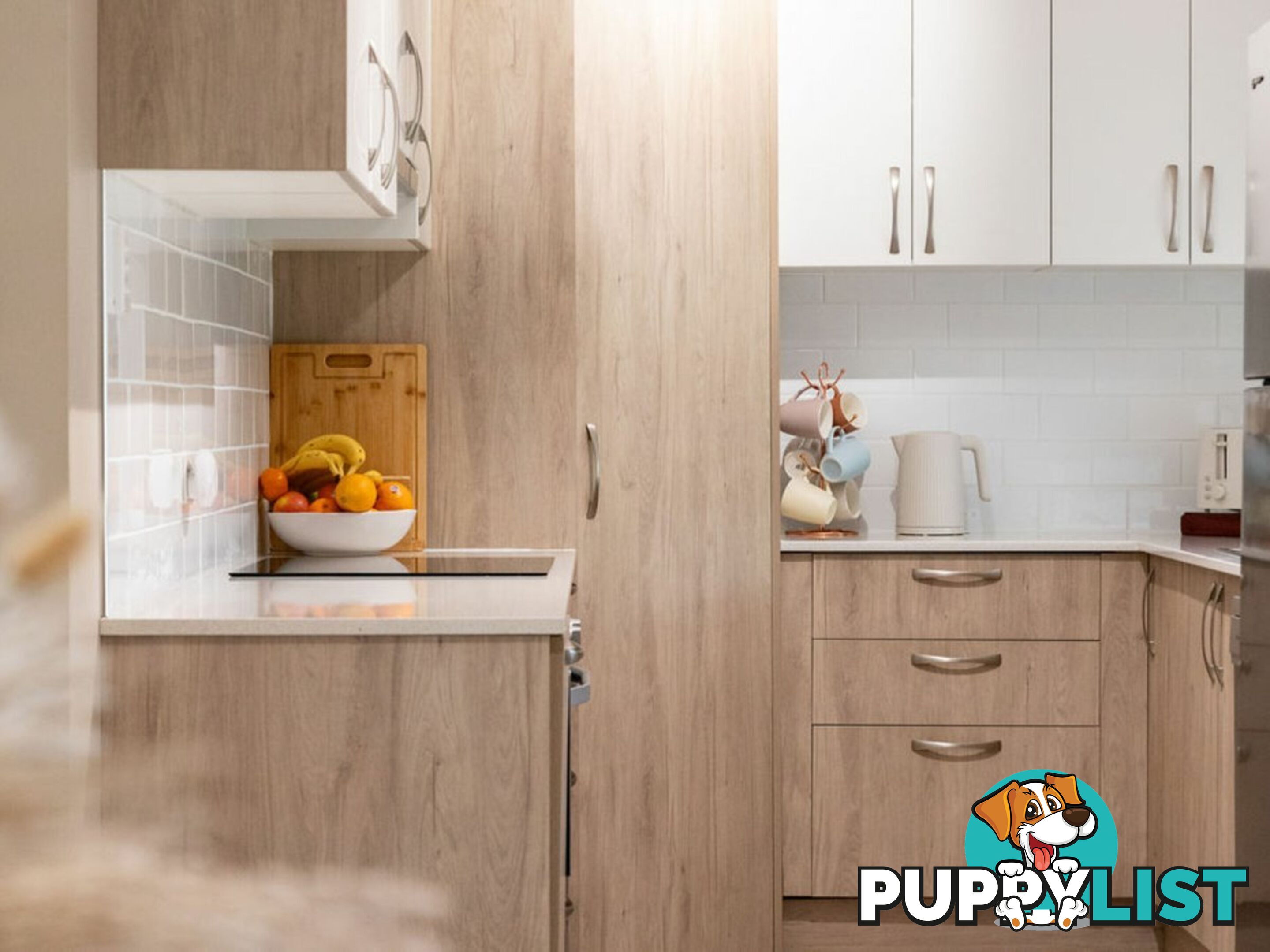 8 Rainwood Court SPRINGFIELD QLD 4300