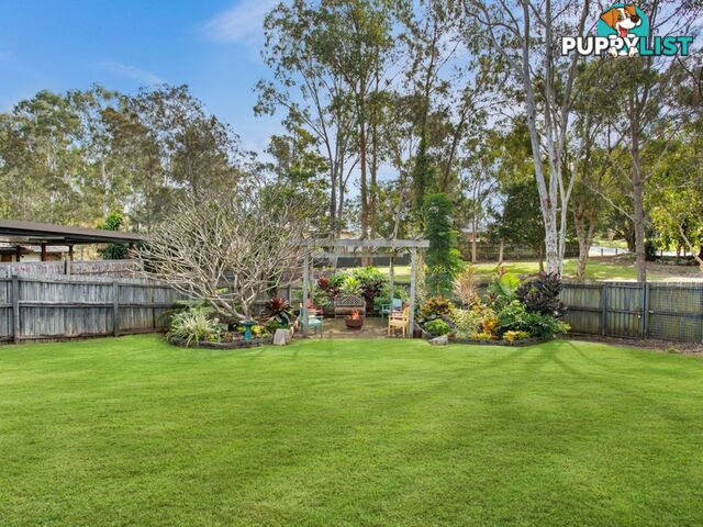 8 Rainwood Court SPRINGFIELD QLD 4300