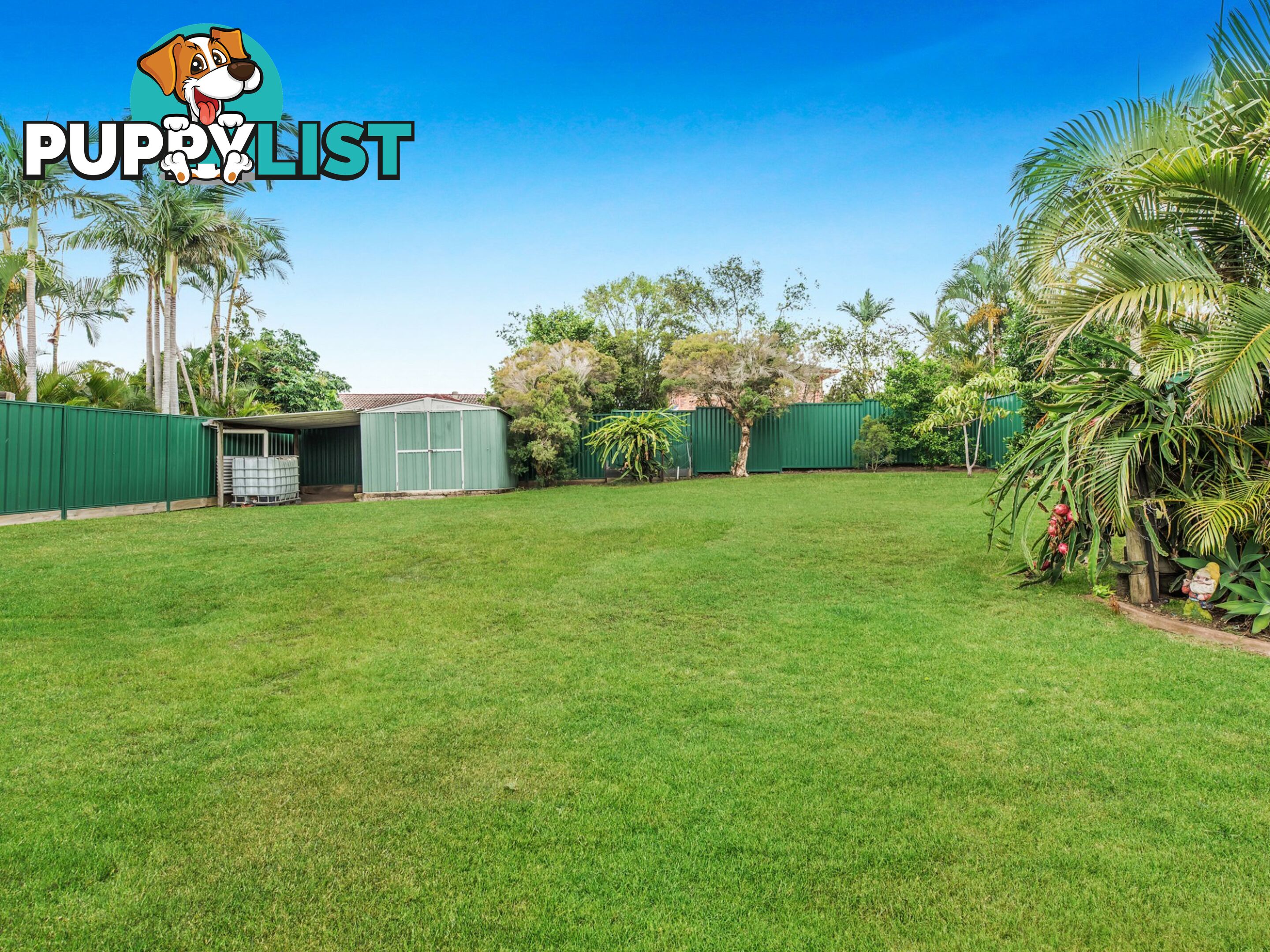 31 Sharpless Road SPRINGFIELD QLD 4300