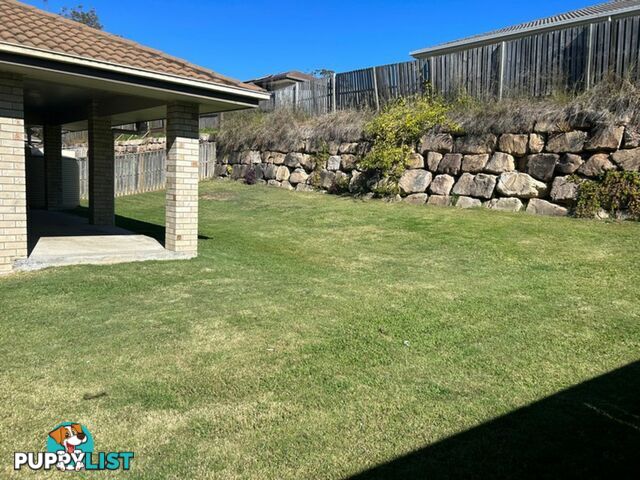 43 Dillon Avenue AUGUSTINE HEIGHTS QLD 4300