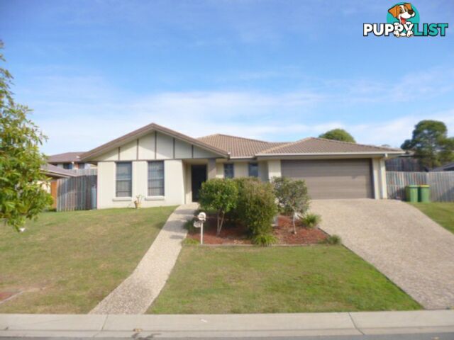 43 Dillon Avenue AUGUSTINE HEIGHTS QLD 4300