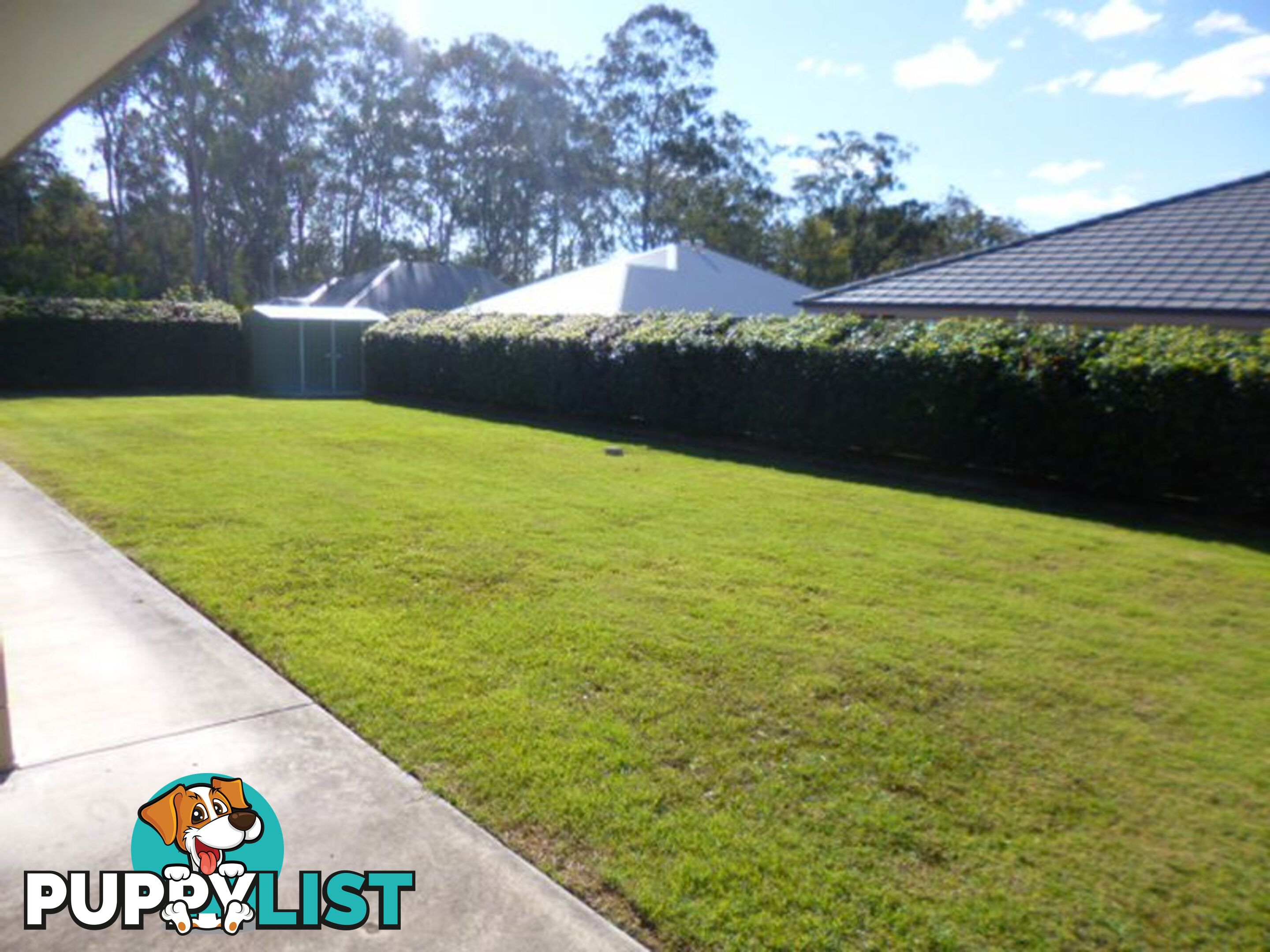 20 Christopher Street AUGUSTINE HEIGHTS QLD 4300