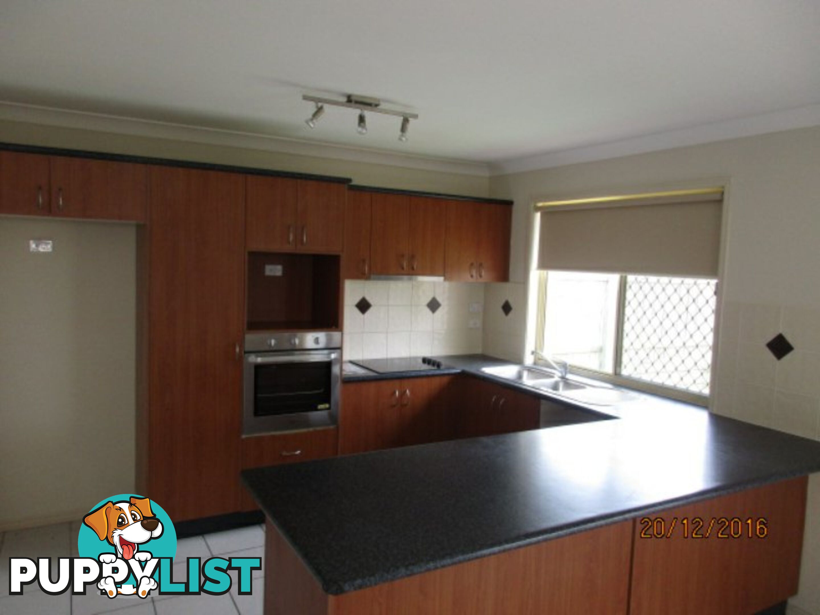 17 Ridge View Place SPRINGFIELD LAKES QLD 4300