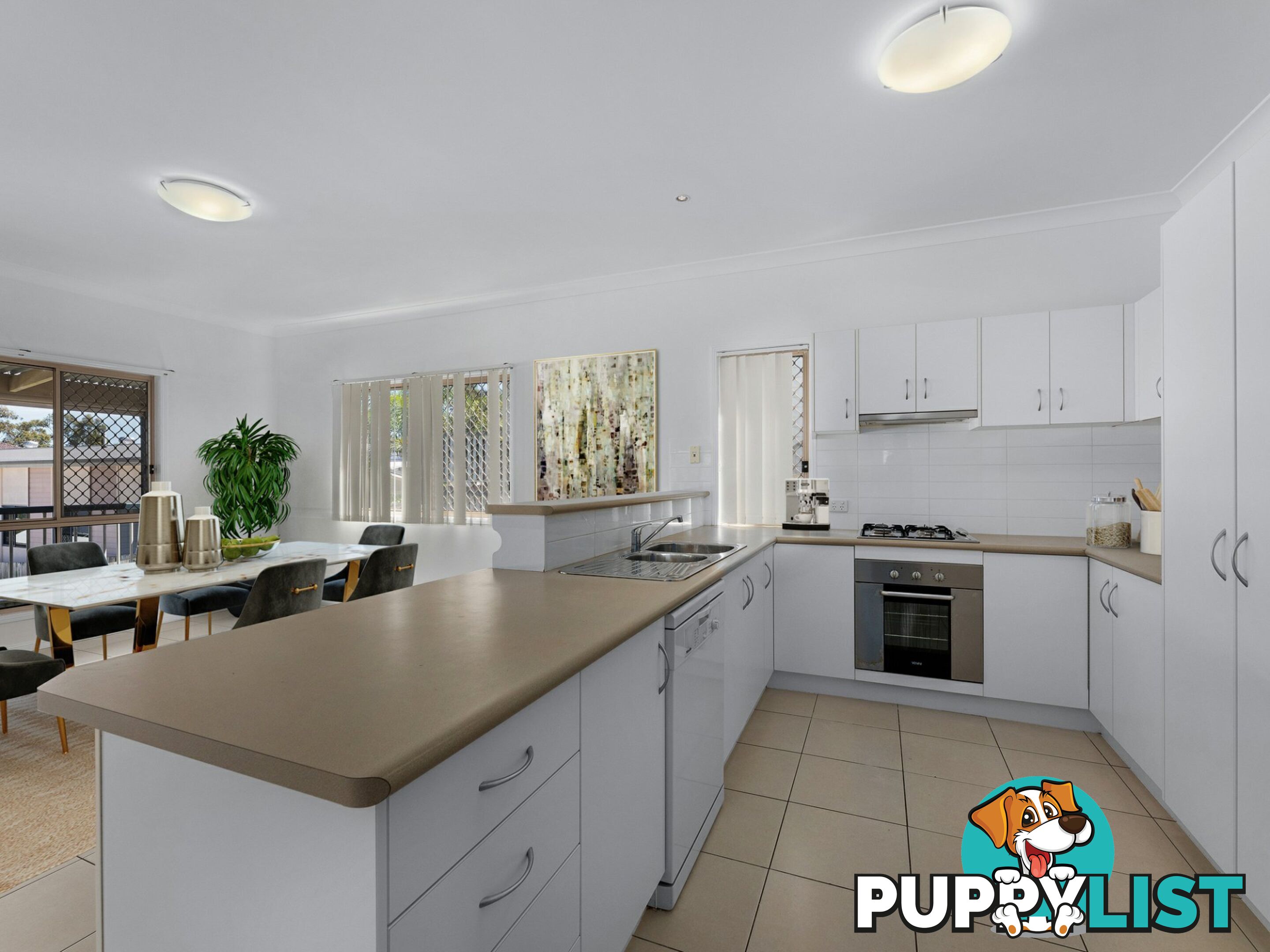 17 Dianella Street SPRINGFIELD LAKES QLD 4300