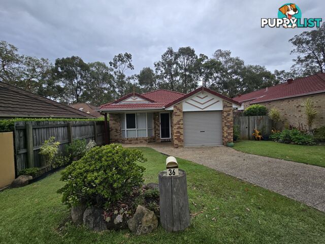 36 Tewantin Way FOREST LAKE QLD 4078