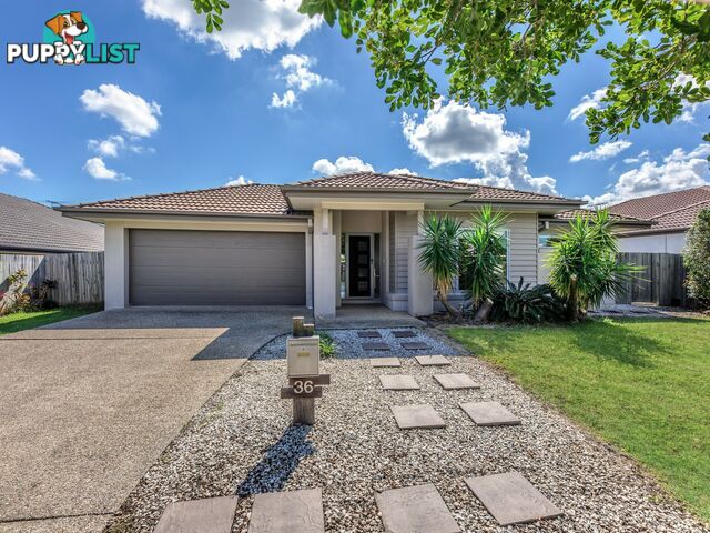 36 Jeff Collins Circuit BELLBIRD PARK QLD 4300