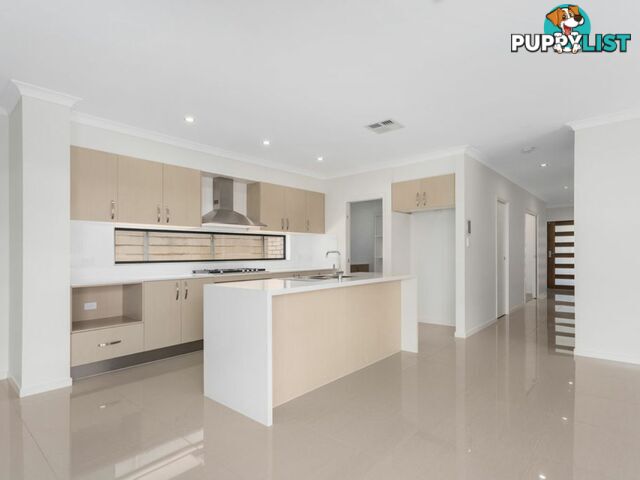 6 James Varghese Street SPRING MOUNTAIN QLD 4300