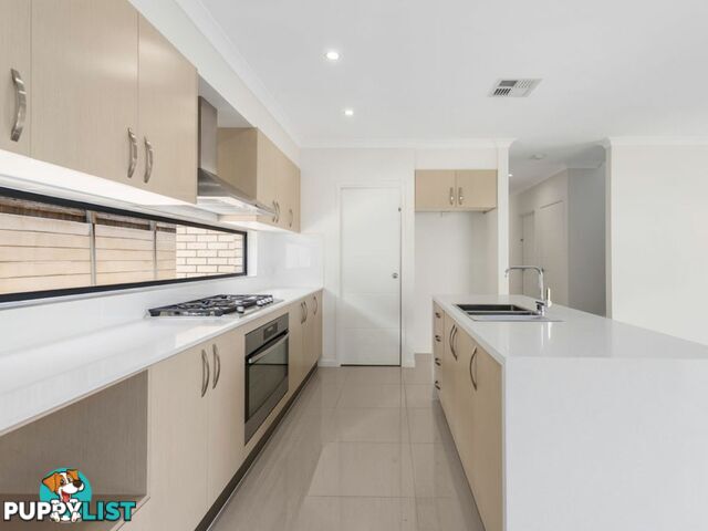 6 James Varghese Street SPRING MOUNTAIN QLD 4300