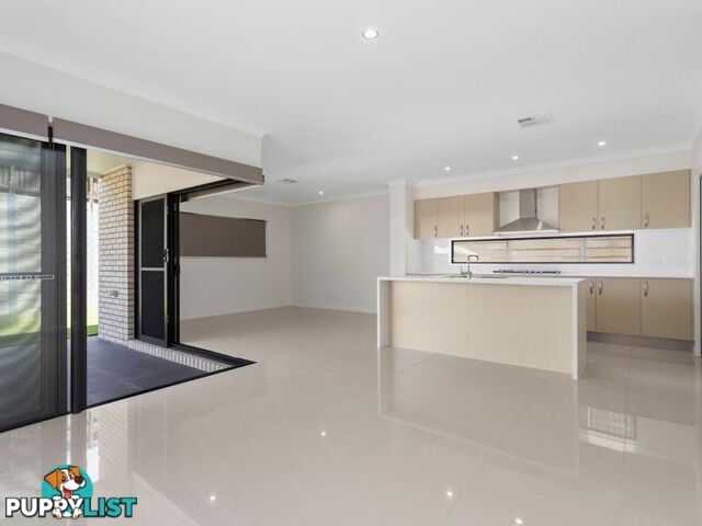 6 James Varghese Street SPRING MOUNTAIN QLD 4300